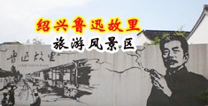 男人的鸡巴插进进的逼里的视频中国绍兴-鲁迅故里旅游风景区