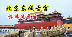 爆操女人逼视频软件中国北京-东城古宫旅游风景区