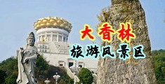 骚妇被鸡巴操电影中国浙江-绍兴大香林旅游风景区